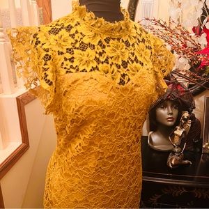 Beautiful Lace Shesth